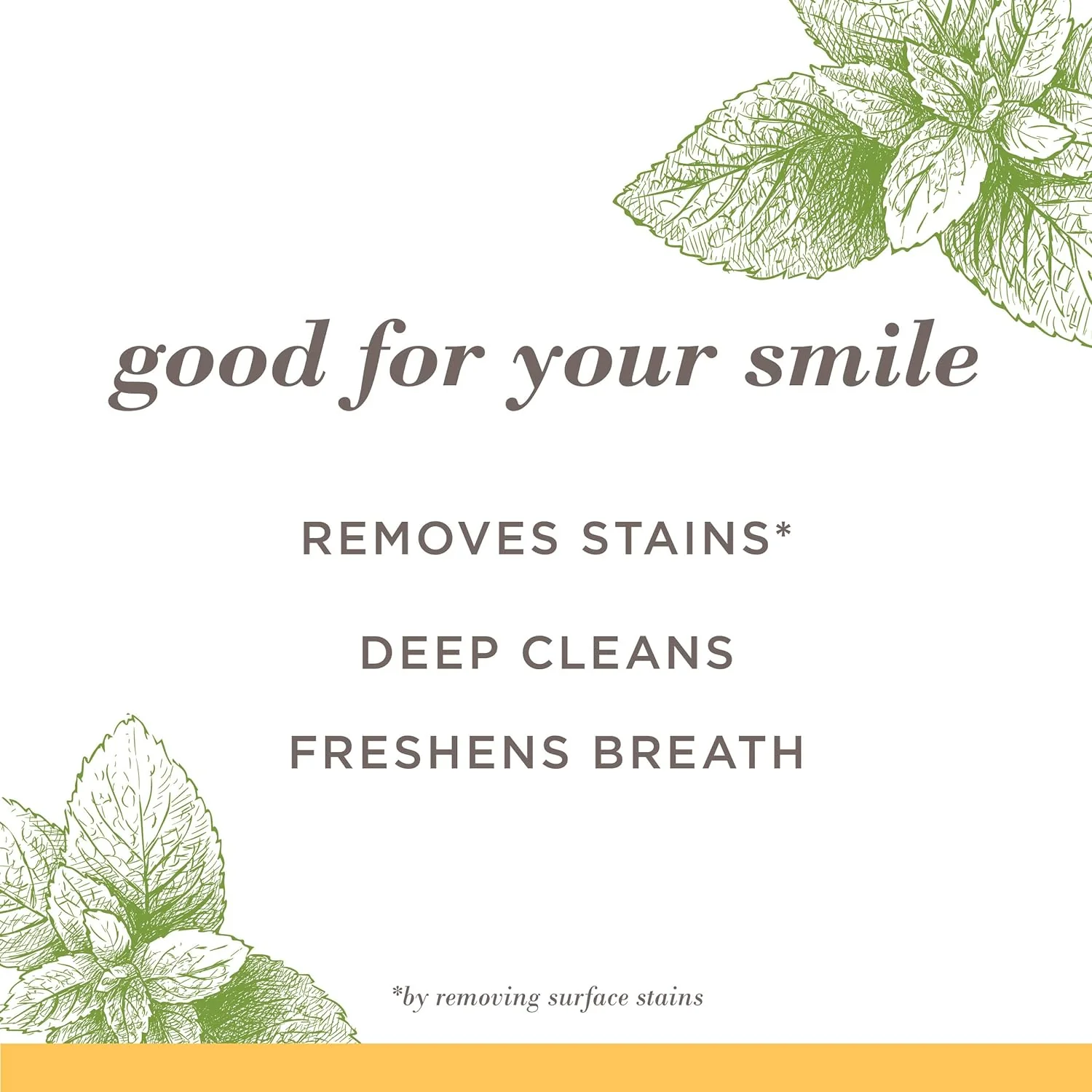 Burt's Bees Fluoride-Free Toothpaste - Zen Peppermint, Stain Removal, 4.7oz - Image 6