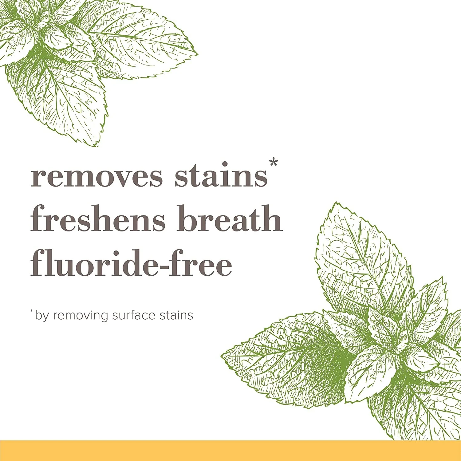 Burt's Bees Fluoride-Free Toothpaste - Zen Peppermint, Stain Removal, 4.7oz - Image 8