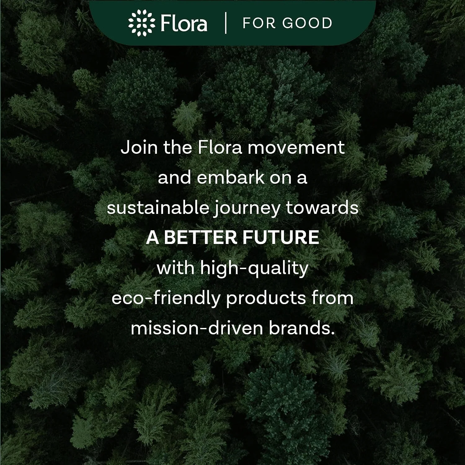 Adjustable Bamboo Plant Stand - Image 7